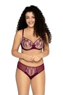 BIUSTONOSZ AV 1941 WINE - WINE, 65F AVA