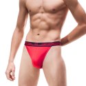Stringi HIGH EMOTION - GRAFIT, XL CORNETTE
