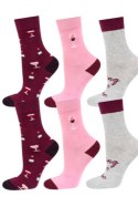 SOXO "SKARPETY SOXO W TUBIE - RED WINE, 3 PARY" - CZERWONY, 35-40