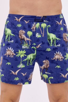 BOKSERKI CLASSIC 2024J - ZIELONY, S, 001/164 CORNETTE