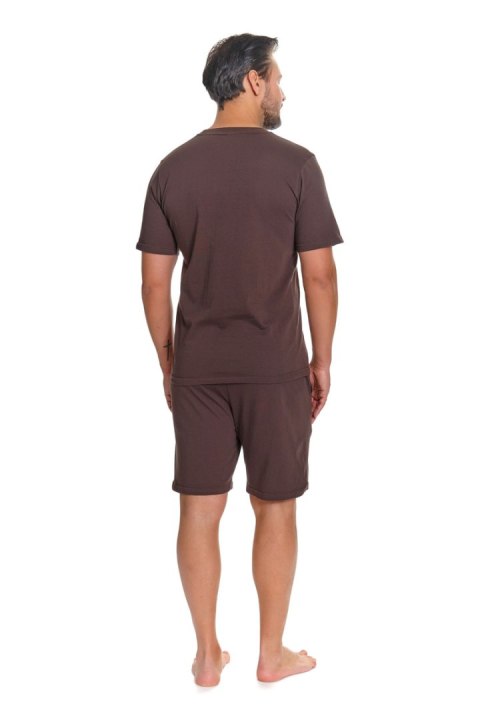PIŻAMA MĘSKA PMB 4332 - BROWNIE, L DOCTOR NAP